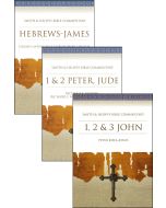 Non-Pauline Letters Bundle