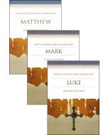 Synoptic Gospels Bundle